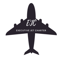 Executive Jet Charter - Infinite Flight